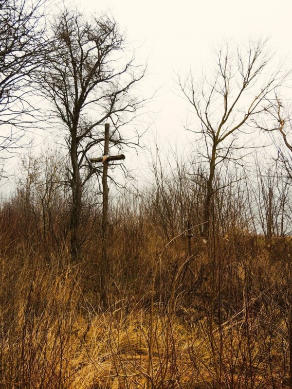 Otwórz galerię (35 fotografii) Wołyń |
