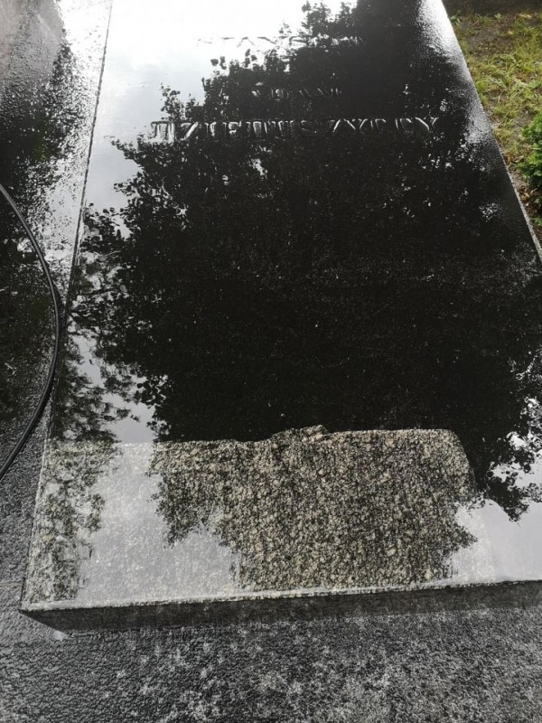 Dzieduszyccy, grant MKiDN