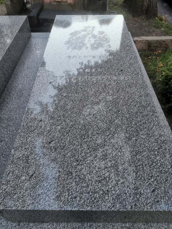 Dzieduszyccy, grant MKiDN |