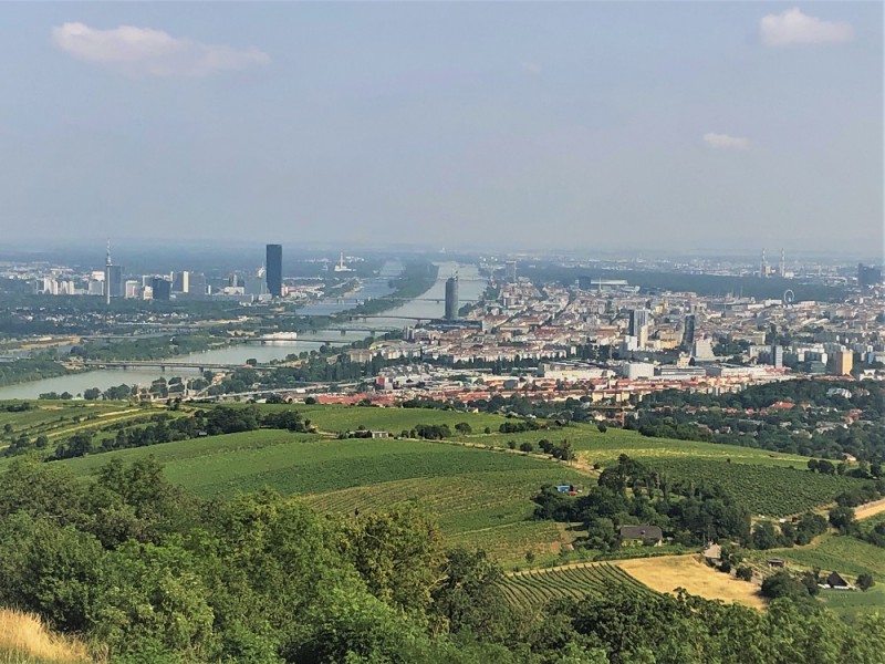 Kahlenberg, grant MKiDN |